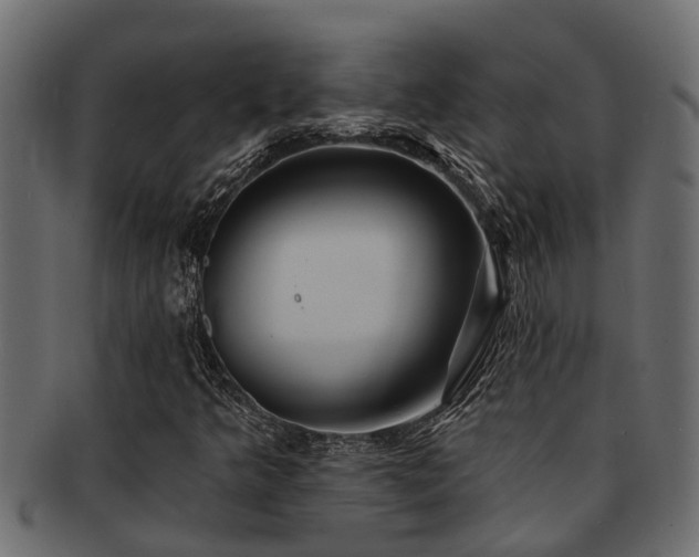 X0000093111349200709261242