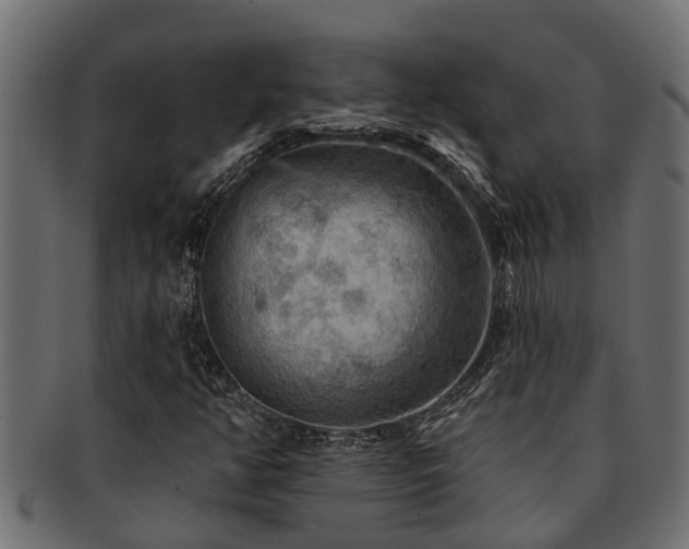 X0000093111350200709261242