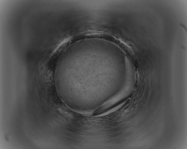 X0000093111351200709261242