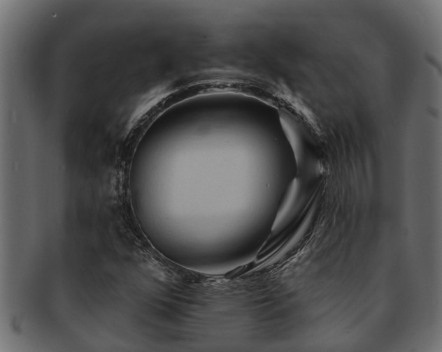 X0000093111352200709261242