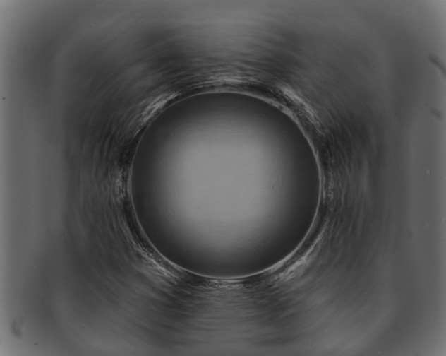 X0000093111353200709261242