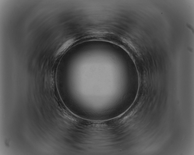 X0000093111354200709261242