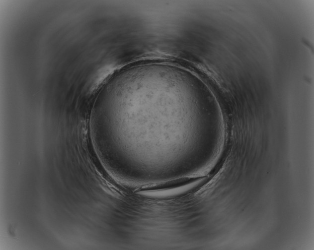 X0000093111355200709261242