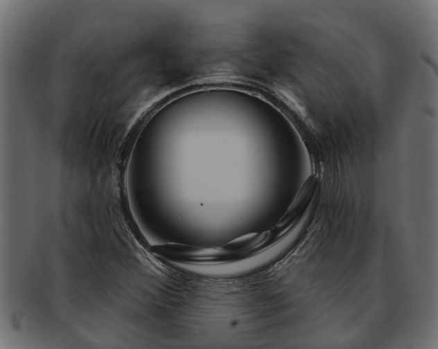 X0000093111356200709261242