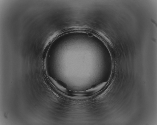 X0000093111357200709261242