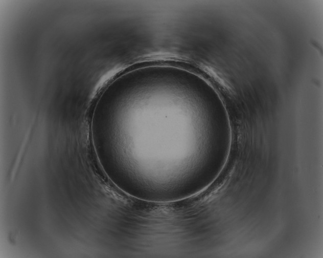 X0000093111358200709261242