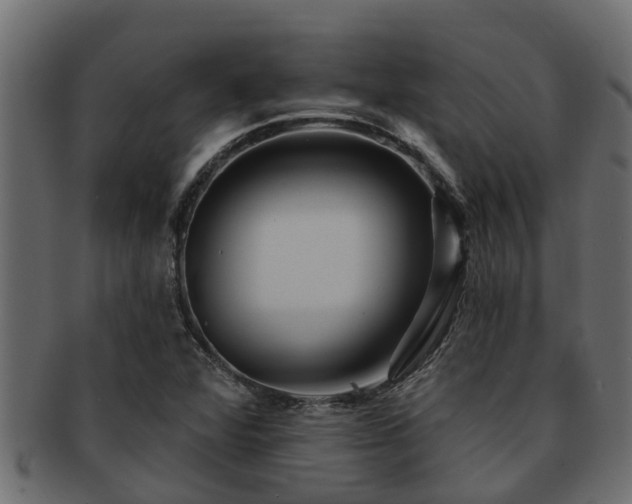 X0000093111360200709261242