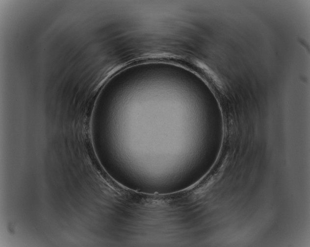 X0000093111361200709261242