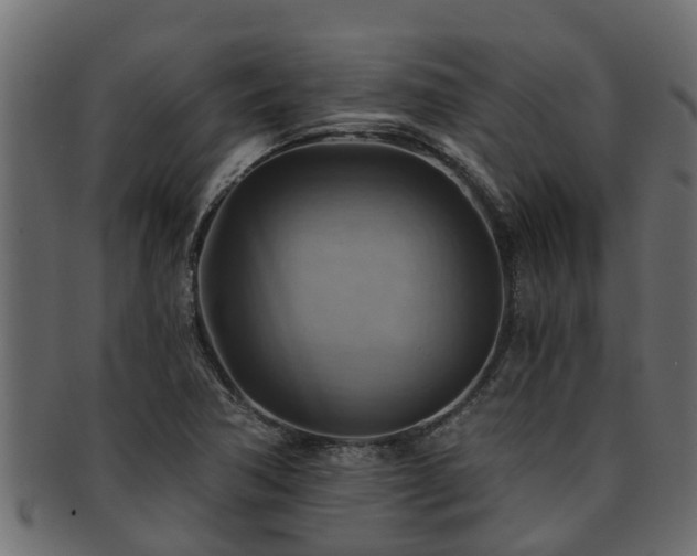 X0000093111362200709261242