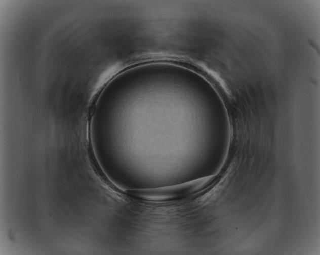 X0000093111365200709261242