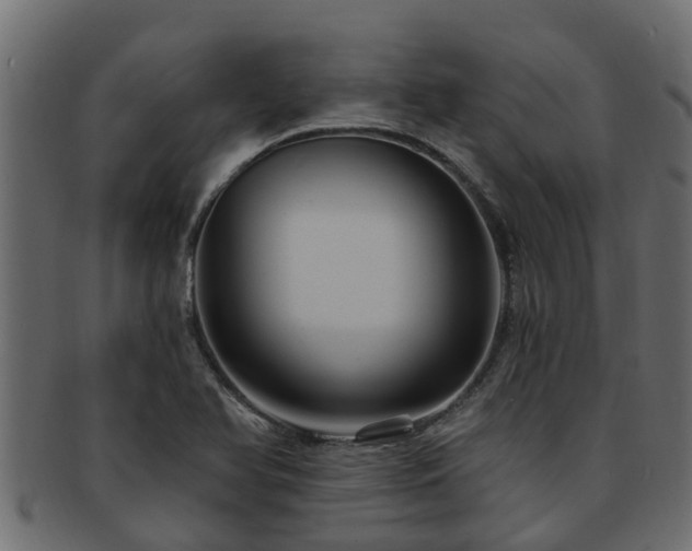 X0000093111366200709261242