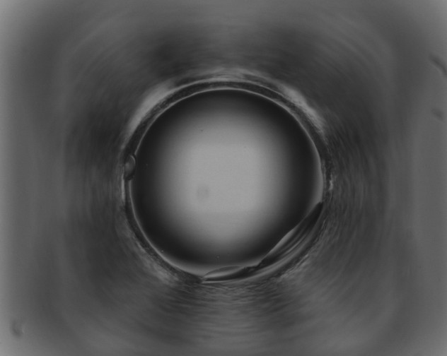 X0000093111368200709261242