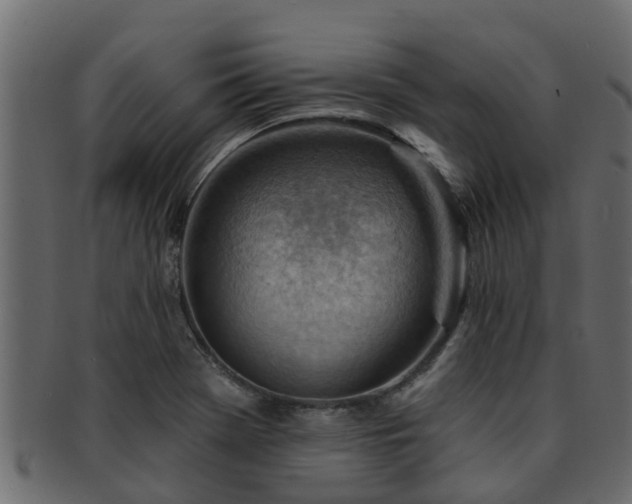 X0000093111369200709261242