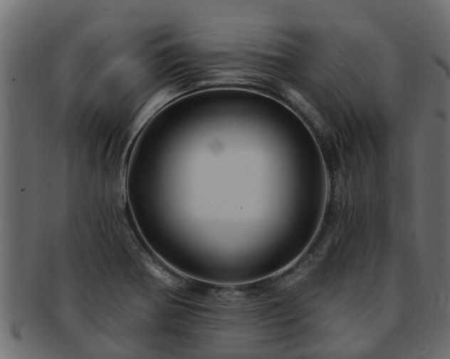 X0000093111370200709261242