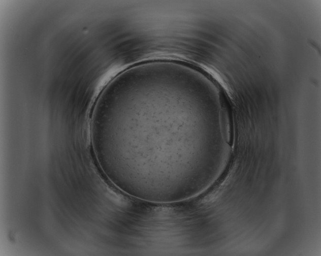 X0000093111371200709261242