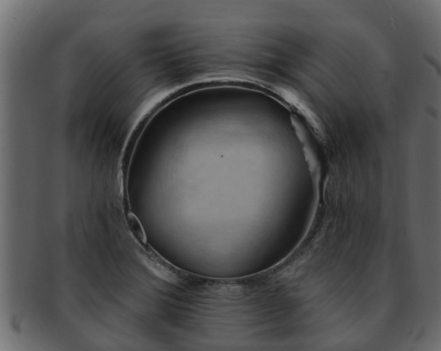 X0000093111372200709261242