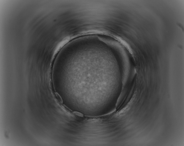 X0000093111373200709261242