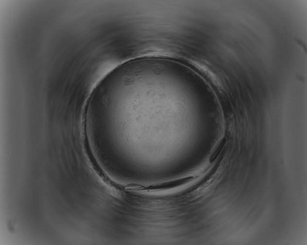 X0000093111375200709261242