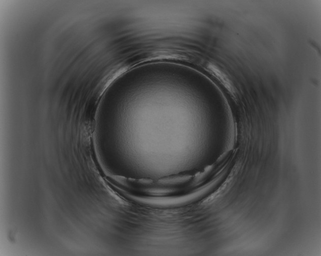 X0000093111377200709261242