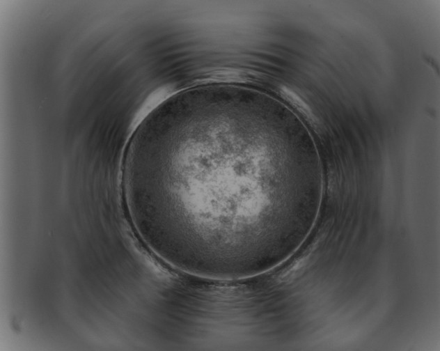 X0000093111378200709261242