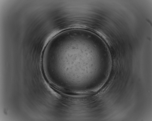 X0000093111379200709261242