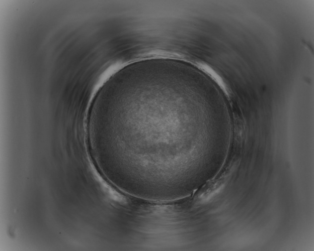X0000093111381200709261242