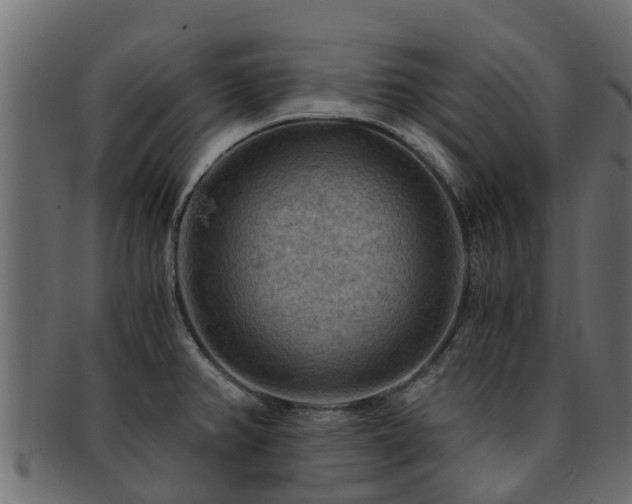 X0000093111382200709261242