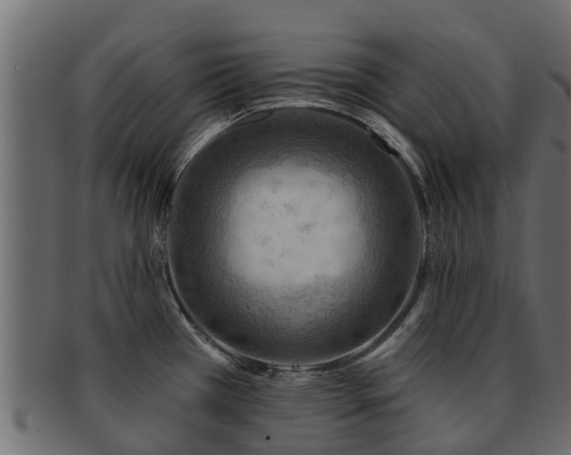 X0000093111385200709261242