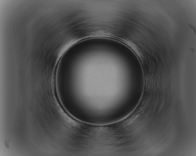 X0000093111387200709261242