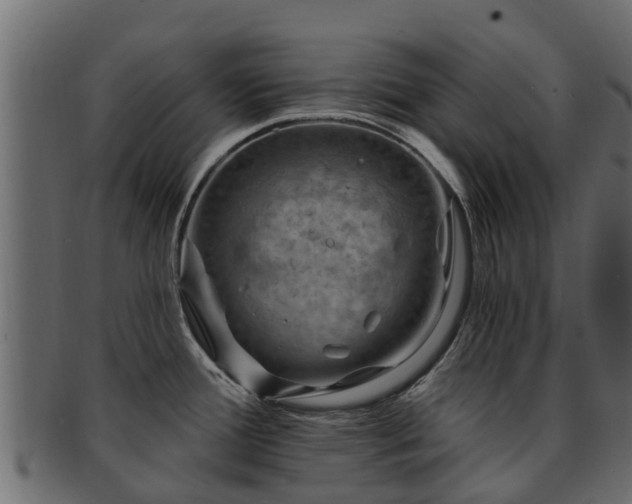 X0000093111388200709261242