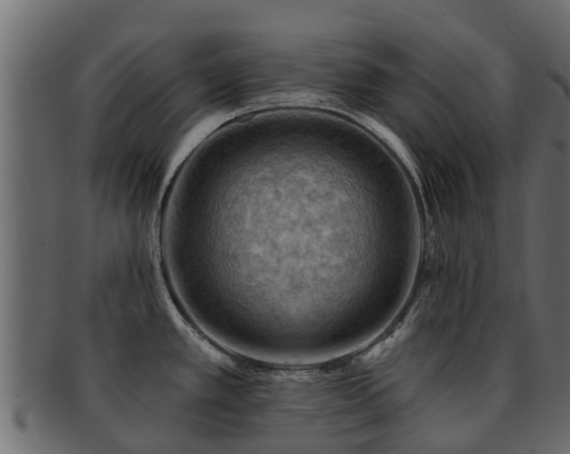 X0000093111389200709261242