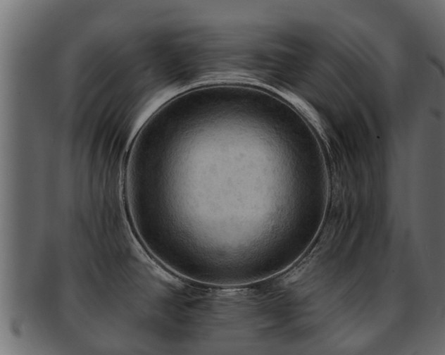 X0000093111390200709261242