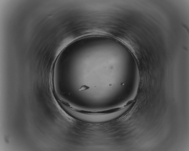 X0000093111391200709261242