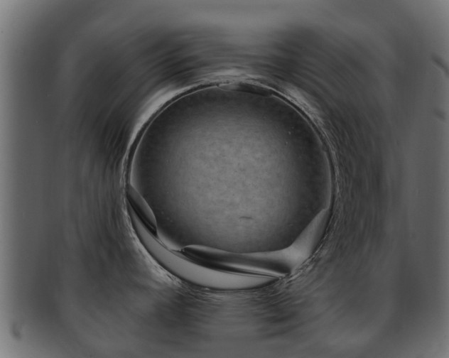 X0000093111392200709261242
