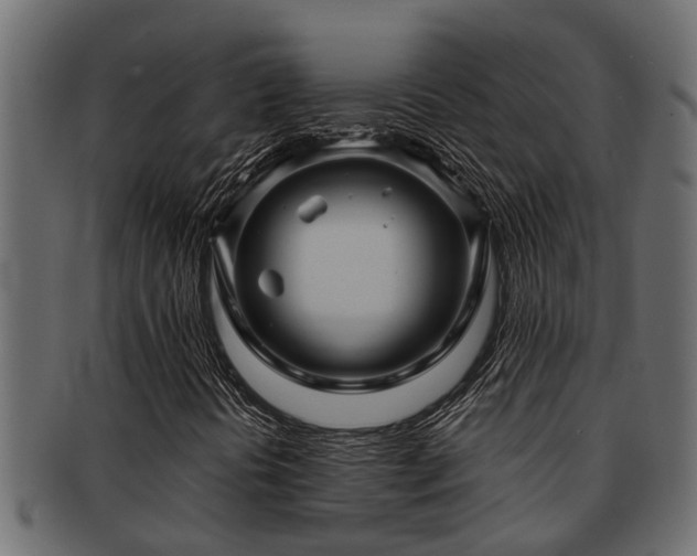 X0000093111394200709261241