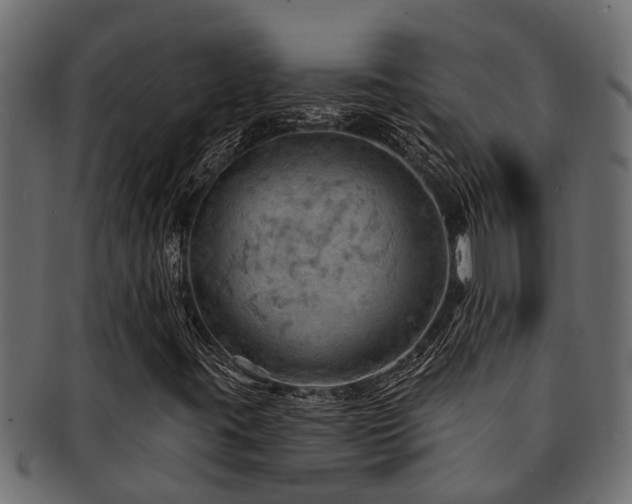 X0000093111395200709261241