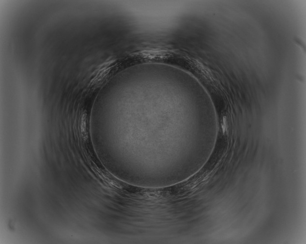 X0000093111396200709261241