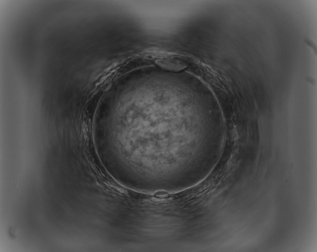 X0000093111397200709261241