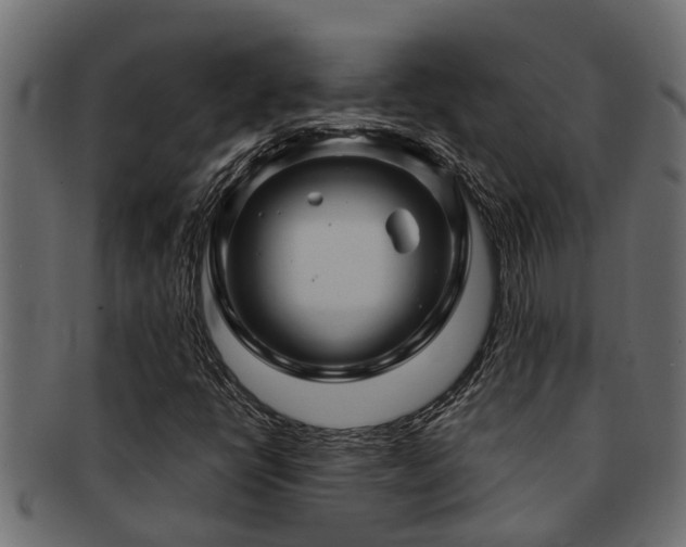 X0000093111398200709261241