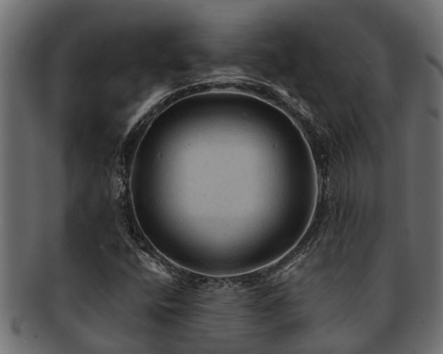 X0000093111400200709261241