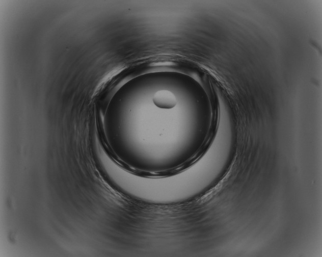 X0000093111402200709261241