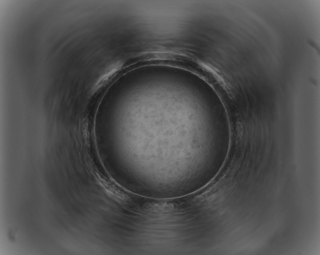 X0000093111403200709261241