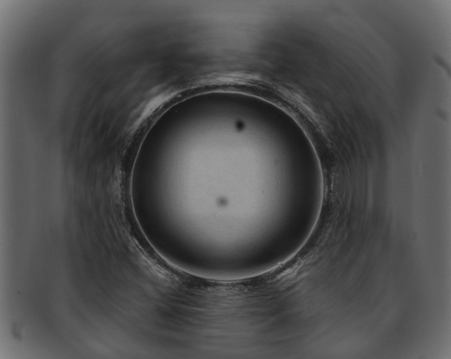X0000093111404200709261241