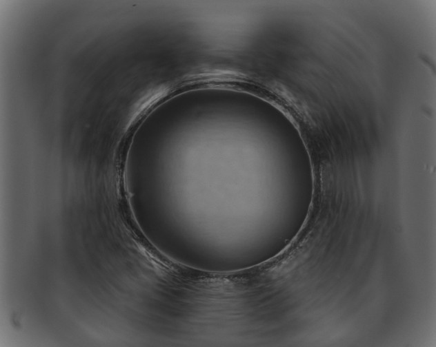 X0000093111405200709261241