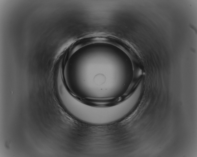 X0000093111406200709261241