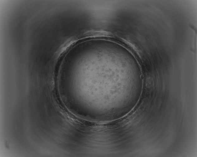 X0000093111407200709261241
