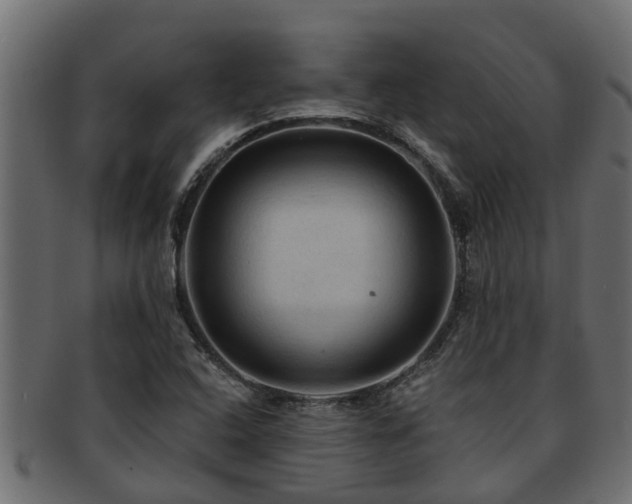 X0000093111408200709261241