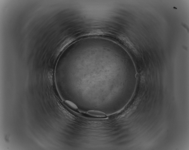 X0000093111409200709261241
