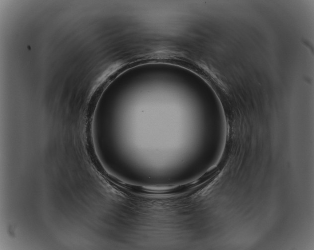 X0000093111410200709261241