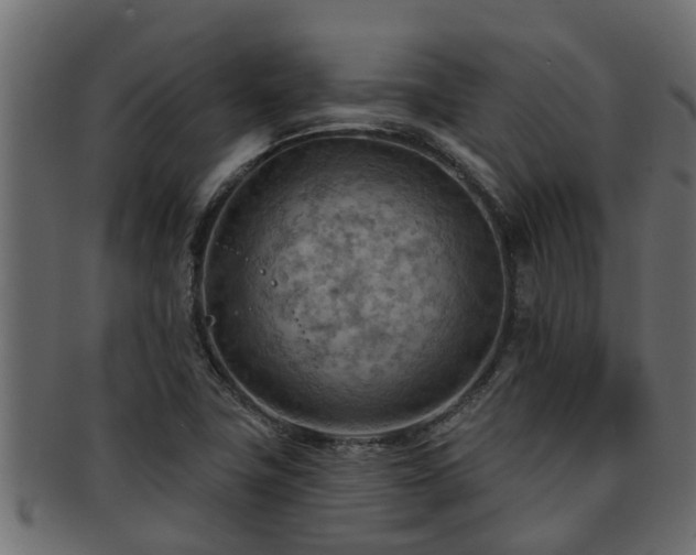 X0000093111411200709261241